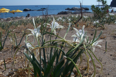 3rhodos sept 11 043